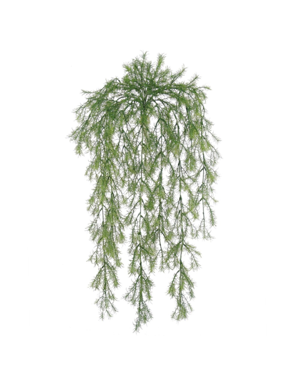 31" Sprengeri Hanging Bush - 12-Pack with 195 Lifelike Tips, Perfect for Home, Patio & Office Decor - Ideal for Spring & Year-Round Accents - Floral Home by Artificial Flowers